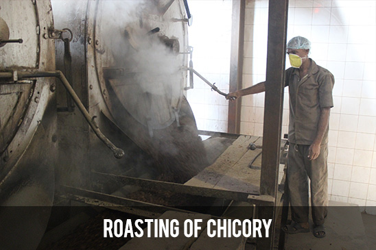 Roasting of Chicory
